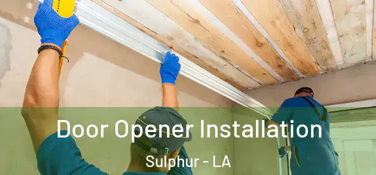 Door Opener Installation Sulphur - LA