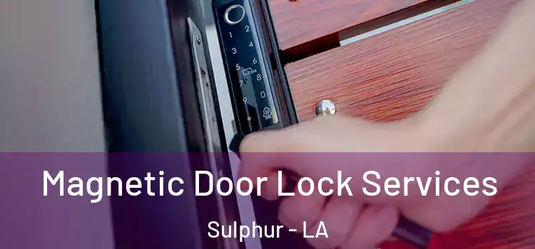 Magnetic Door Lock Services Sulphur - LA