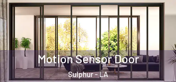 Motion Sensor Door Sulphur - LA